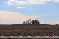 В Беларуси зяблевая обработка почвы проведена на 80% запланированных площадей