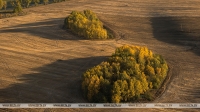 В Минприроды заявили об уменьшении количества загрязненных радиацией земель в Беларуси
