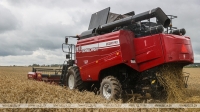 В Беларуси намолочено более 9 млн тонн зерна с учетом рапса