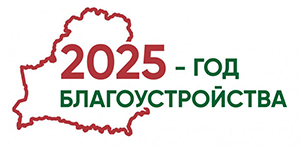 Выборы-2024