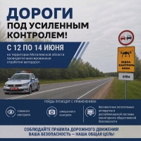 Дороги под усиленным контролем!