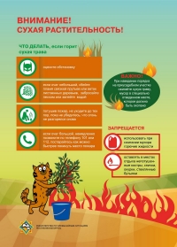 Об опасности палов сухой растительности