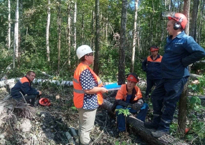 Краснопольский лесхоз продолжает устранять последствия стихии