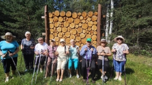 «В гостях у леса»
