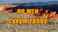Не жги сухую траву