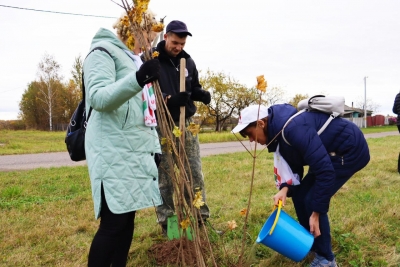 В Беларуси проходит «Единый день озеленения»: 150 кленов высажены в Краснопольском районе