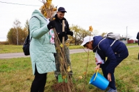 В Беларуси проходит «Единый день озеленения»: 150 кленов высажены в Краснопольском районе