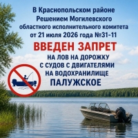 Введен запрет