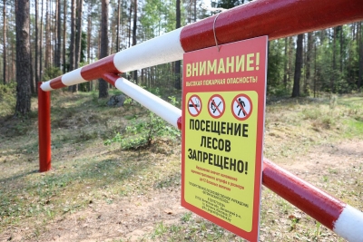 В Краснопольском районе введен запрет на посещение лесов с 3 апреля
