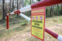 В Краснопольском районе введен запрет на посещение лесов с 3 апреля