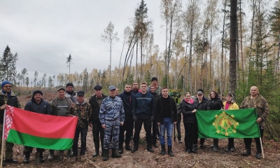 Единство ради восстановления: акция «Дай лесу новае жыцце»