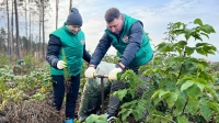 Молодежь Могилевской области присоединилась к республиканской акции «Дай лесу новае жыццё!»