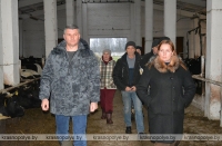 Александр Ефимчиков знакомится с животноводством: визит на МТК «Ленина»
