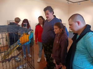 Выставка   «Мир больших попугаев»
