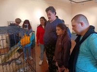 Выставка «Мир больших попугаев»